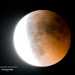 L'ultima eclissi totale di Luna avvenuta nel giugno del 2011